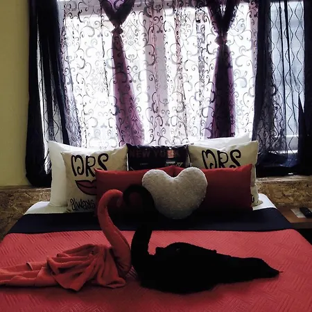 土耳其风格旅舍